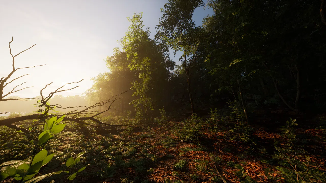Carpathian Survival Screenshot 2