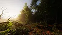 Carpathian Survival Screenshot 2