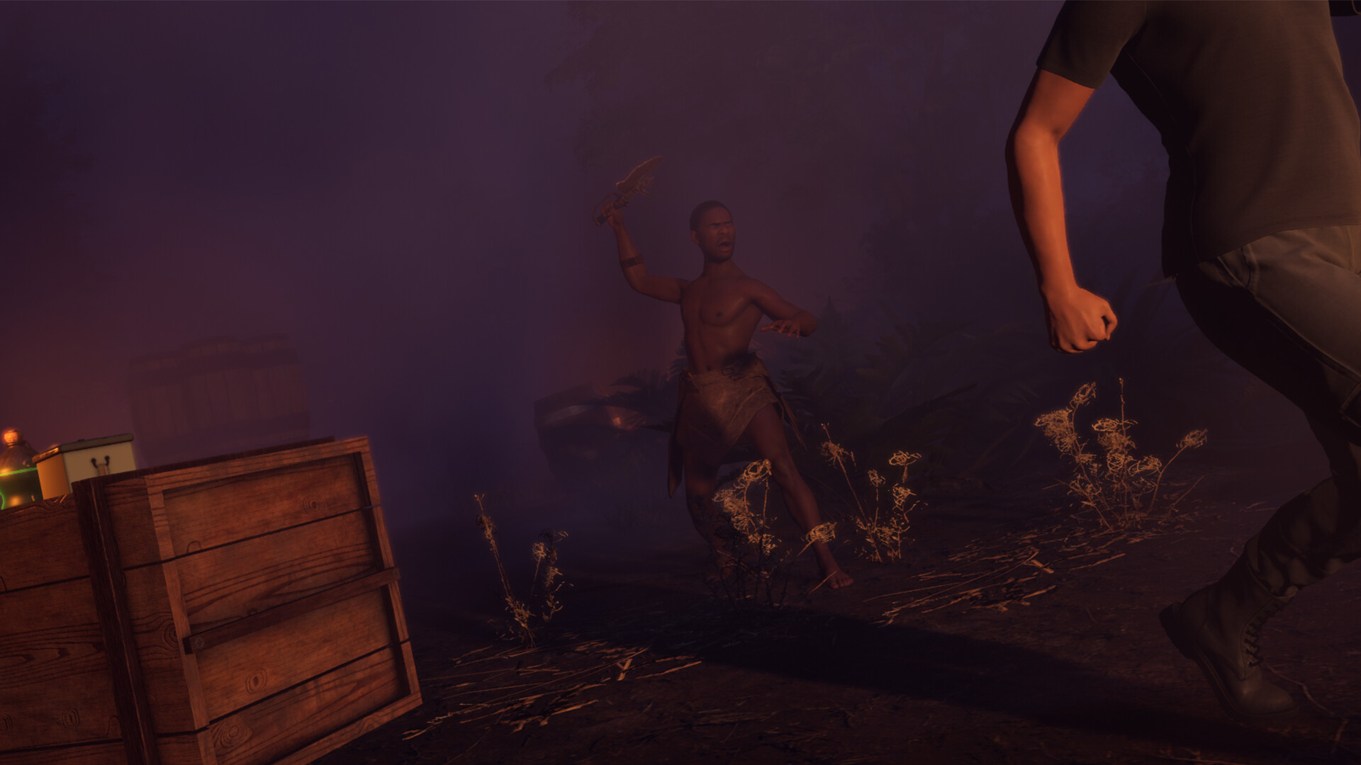 THE SENTINEL Screenshot 1