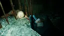 Still Wakes the Deep: Siren’s Rest Screenshot 9