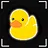 What the duck!?