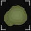 Lettuce begin icon