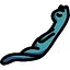 Kismet icon