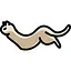 Dosa icon