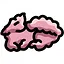 Purrharbour icon