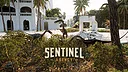 Sentinel Agency Wallpaper Screenshot 1