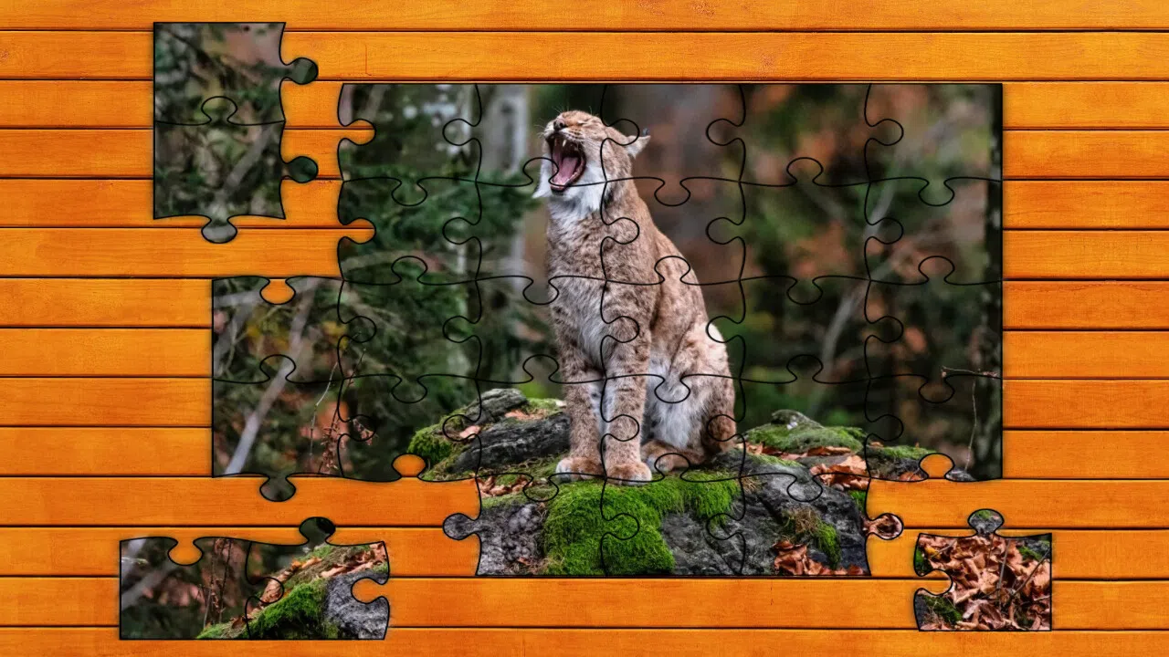 Wild Lynx Jigsaw Screenshot 3