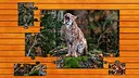 Wild Lynx Jigsaw Screenshot 3