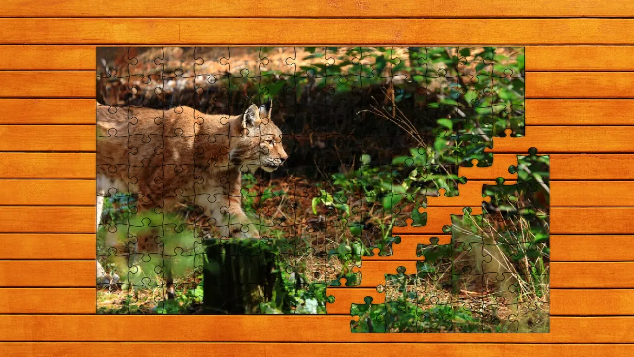 Wild Lynx Jigsaw Screenshot 0