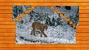 Wild Lynx Jigsaw Screenshot 2