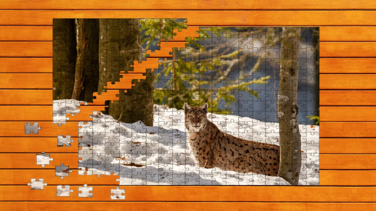 Wild Lynx Jigsaw Screenshot 1