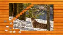 Wild Lynx Jigsaw Screenshot 1