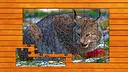 Wild Lynx Jigsaw Screenshot 4