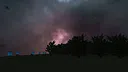 Forest Runner Screenshot 1