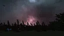 Forest Runner Screenshot 3