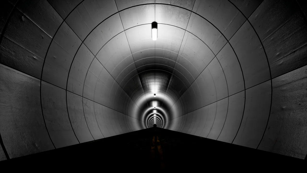 Parasite Tunnel Screenshot 1