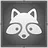 Friend of Raccoons