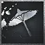 Shelter of Compassion icon