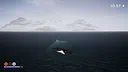 Isle of the Eagle Screenshot 2