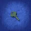Cabin Key icon