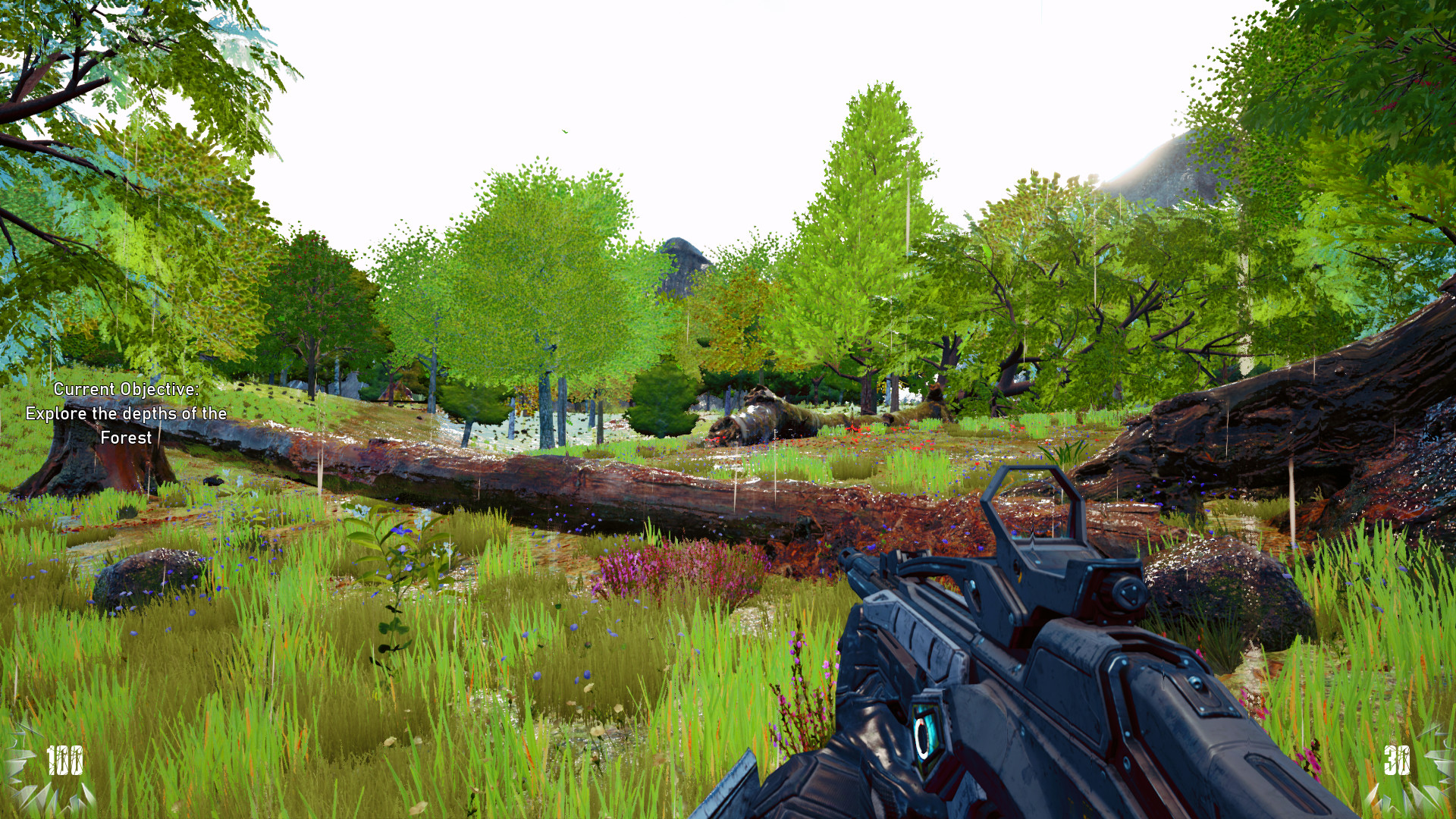 The Seasons Collection: Spring Screenshot 10