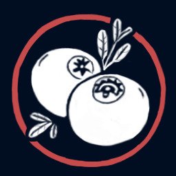 Blueberrylicious icon