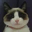 Treats first, Cuddles later icon