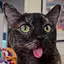 The cutest blep around! icon