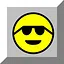 初窥门径 icon