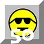 驾轻就熟 icon