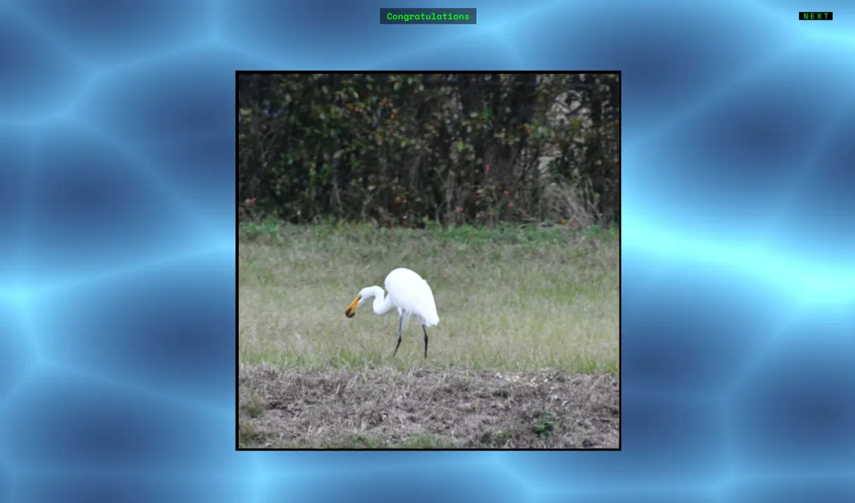 Jon's Jigsaw Puzzle Screenshot 4
