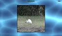 Jon's Jigsaw Puzzle Screenshot 4
