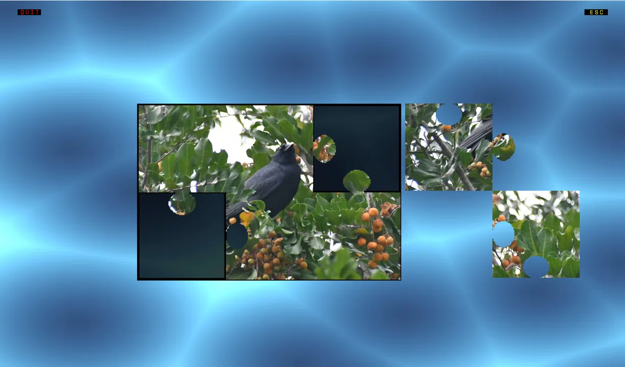 Jon's Jigsaw Puzzle Screenshot 3