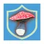 Mushrooms icon