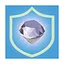 White Diamonds icon