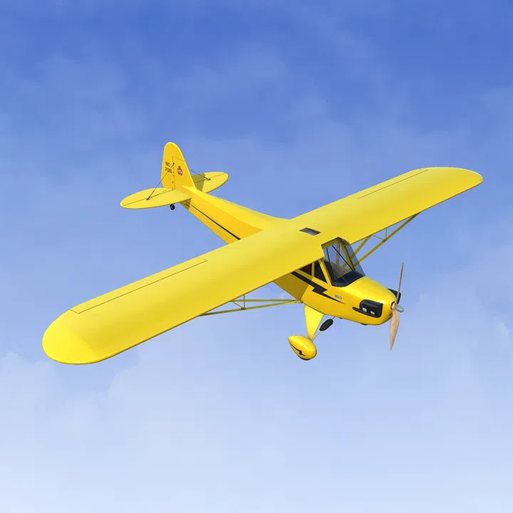 RealFlight Evolution – Hangar 9 J-3 Cub 10cc Screenshot 0