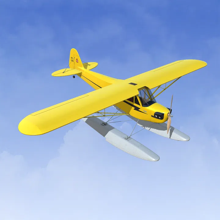 RealFlight Evolution – Hangar 9 J-3 Cub 10cc Screenshot 4