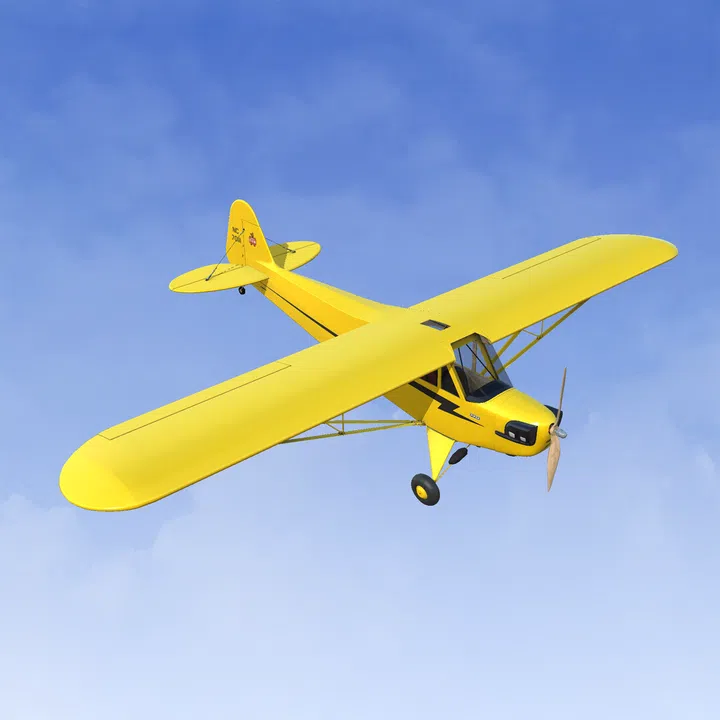 RealFlight Evolution – Hangar 9 J-3 Cub 10cc Screenshot 1