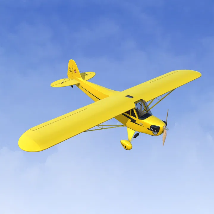 RealFlight Evolution – Hangar 9 J-3 Cub 10cc Screenshot 2