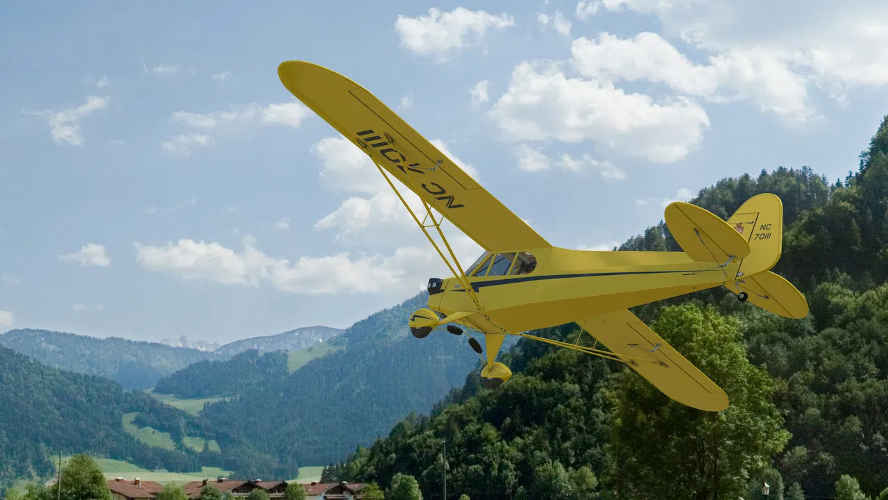 RealFlight Evolution – Hangar 9 J-3 Cub 10cc Screenshot 16