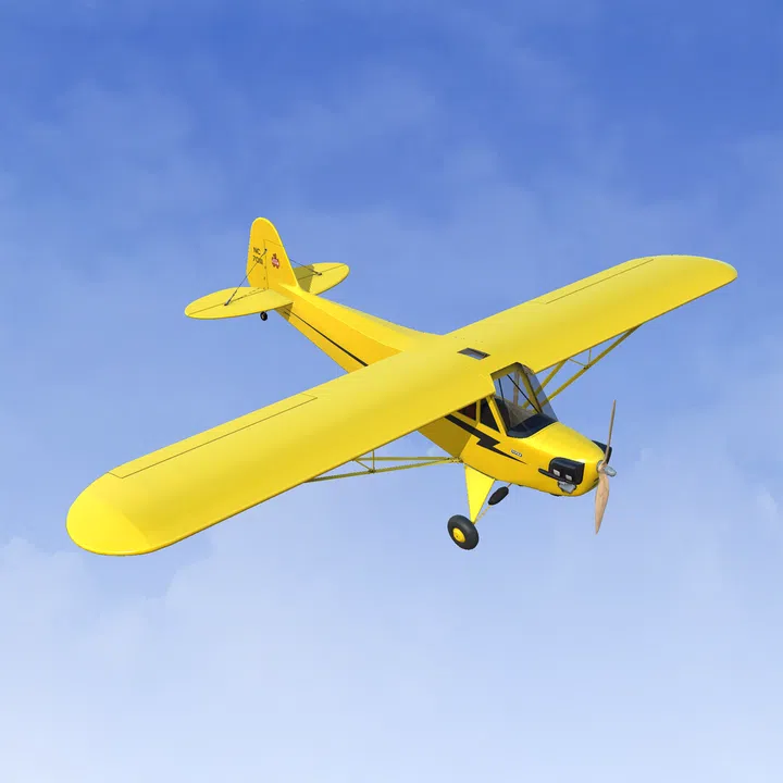 RealFlight Evolution – Hangar 9 J-3 Cub 10cc Screenshot 3