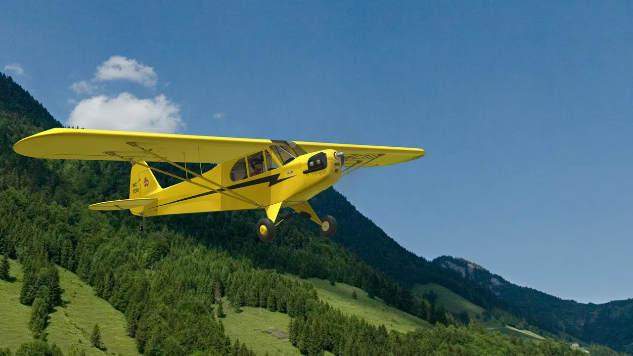 RealFlight Evolution – Hangar 9 J-3 Cub 10cc Screenshot 9
