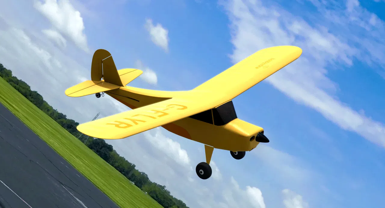 RealFlight Evolution – HobbyZone Champ Anniversary Special Edition 515mm Screenshot 4