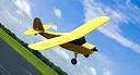 RealFlight Evolution – HobbyZone Champ Anniversary Special Edition 515mm Screenshot 4