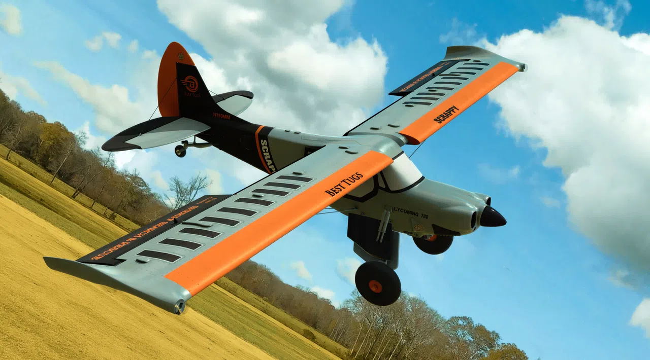 RealFlight Evolution – E-flite Micro Scrappy 800mm Screenshot 4