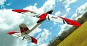 RealFlight Evolution – E-flite ElectroStreak 1.1m Screenshot 3