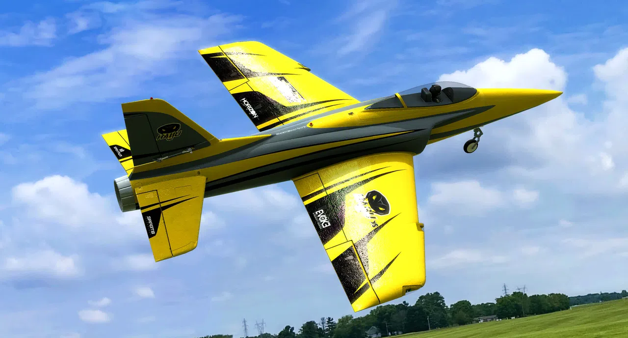 RealFlight Evolution – E-flite Habu XS 80mm EDF Screenshot 1