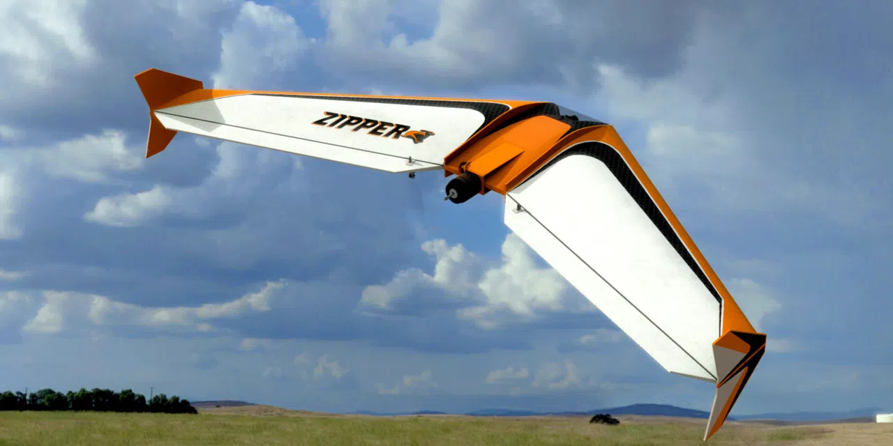 RealFlight Evolution – Zipper Screenshot 4