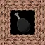 黑色的肉 icon