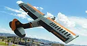RealFlight Evolution - 2025 Year Content Pass Screenshot 143